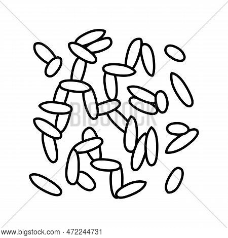 Oryza Grain Food Line Icon Vector. Oryza Grain Food Sign. Isolated Contour Symbol Black Illustration
