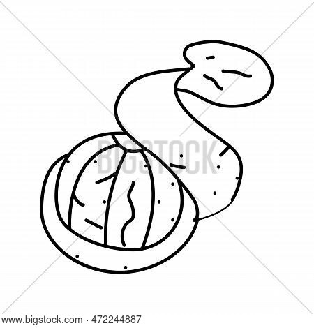 Peel Mandarin Orange Line Icon Vector. Peel Mandarin Orange Sign. Isolated Contour Symbol Black Illu