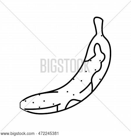 Banana Rotten Food Line Icon Vector. Banana Rotten Food Sign. Isolated Contour Symbol Black Illustra