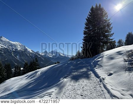 Excellently Arranged And Cleaned Winter Trails For Walking, Hiking, Sports And Recreation In The Are