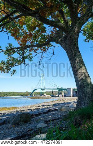 10 04 2022, Deer Isle, Maine, Usa: View On Deer Isle Bridge Framed By A Tree