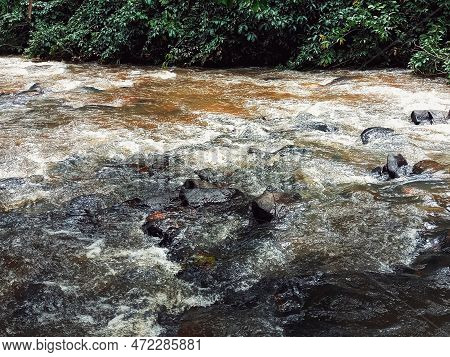 Stone River With A Clear Water Current In The Amazon Region.