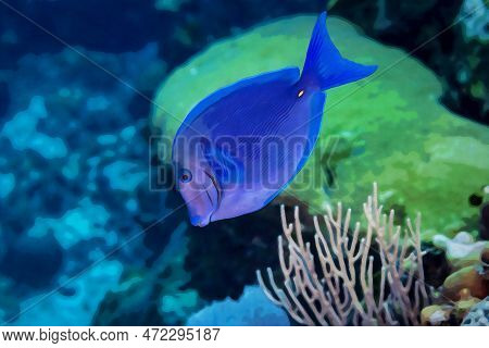 Digitally Created Watercolor Painting Of Blue Tang Surgeonfish Acanthurus Coeruleus Swimming Over A 