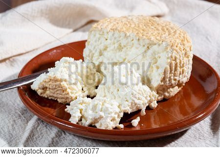 Polish Skimmed Fresh Smoked Milk Twarog Cheese, White Cow Cheese Compared To Curd, Quark, Or Cottage