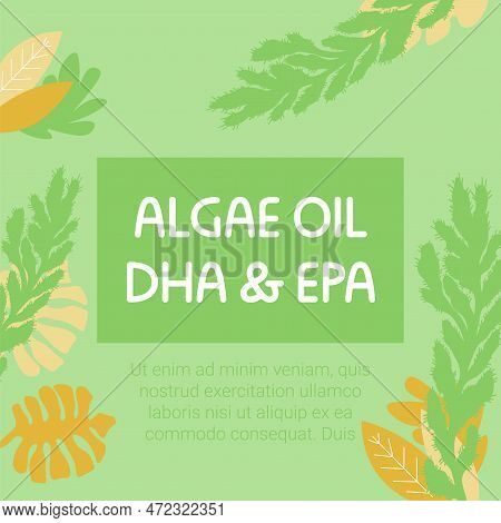 Algae Oil Dha And Epa, Promotional Banner Vector
