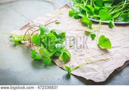 Winter Purslane - Indian Lettuce, Healthy Green Vegetables For Raw Salads And Cooking. Claytonia Per
