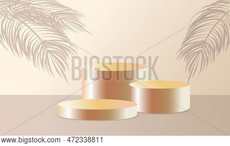 Studio With A Shadow Of Palm Leaves On The Wall, A Room With A Minimum Number Of Stands. Vector 3d S