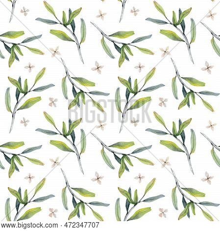 Seamless Watercolor Olive Branches And Flowers Pattern In Green Gray And Beige Color On White. Pomeg
