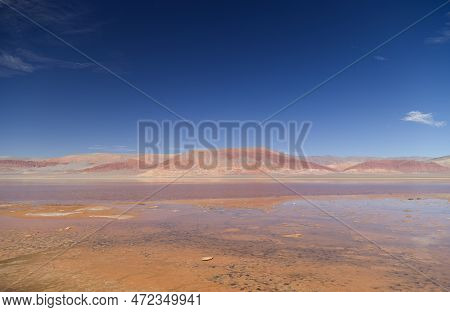 The Carachi Pampa Lagoon, Biosphere Reserve, Argentina. High Quality Photo