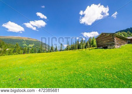 Idyllic Landscape With Wildflowers In Italian Dolomites Alps At Sunny Springtime, Northern Italy