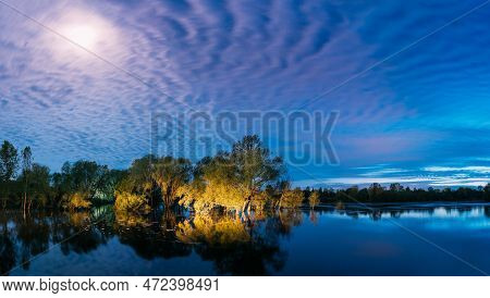 Panorama Night Landscape With Trees That Standing In Water During Spring Flood Floodwaters In Moonli