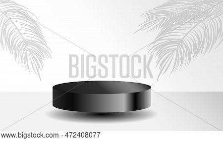 Studio With A Shadow Of Palm Leaves On The Wall, A Room With A Minimum Number Of Stands. Vector 3d S