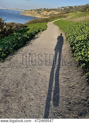 A Jogger Runs Along A Rugged Coastal Trail Lined With Vibrant Plants And Scenic Hills. High Quality 