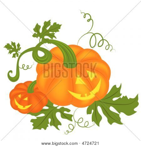 Zucche di Halloween