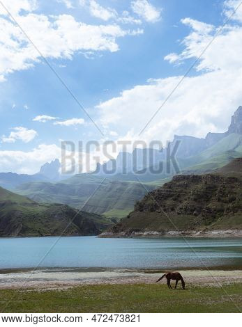 Horse By Lake. Turquoise Lake In Mountains. Gizhgit, Caucasus