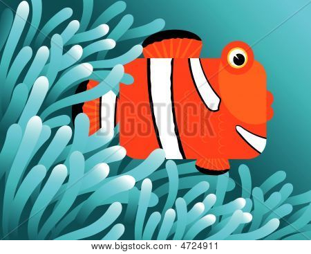 Pesce pagliaccio