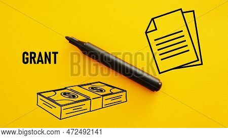 Concept Of Grants. Application Grant Is Shown Using The Text