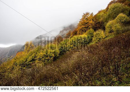 2022 10 23 Durlo Multicolored Valleys 5