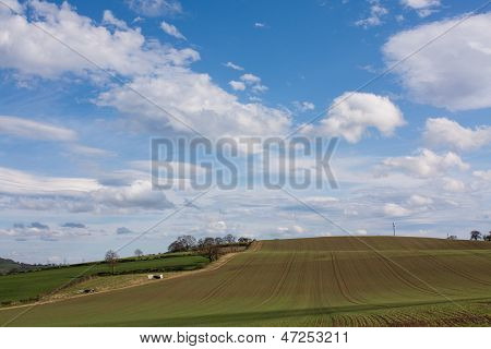 Grass Farm