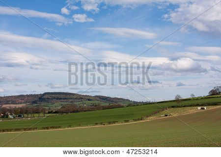 Grass Farm
