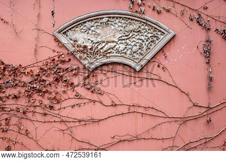 Ivy Vines On A Red Wall In Winter, Taoist Temple, Luodai, Sichuan Province, China