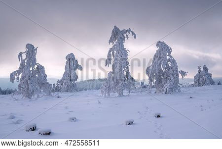 Panoramic Landscape Image Of Kahler Asten During Wintertime, Sauerland, Germany