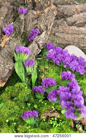 Blomster, træ bark og mos i skoven tæt op