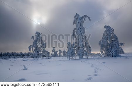 Panoramic Landscape Image Of Kahler Asten During Wintertime, Sauerland, Germany