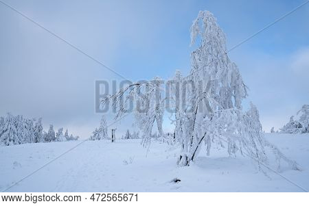 Panoramic Landscape Image Of Kahler Asten During Wintertime, Sauerland, Germany