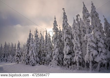 Panoramic Landscape Image Of Kahler Asten During Wintertime, Sauerland, Germany