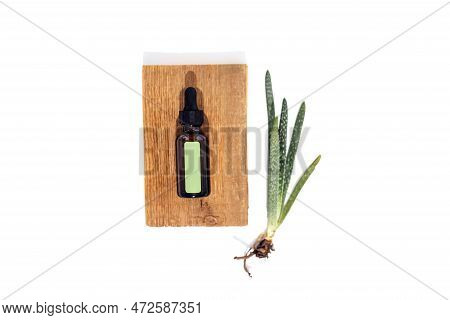 Mockup Of A Cylindrical Serum Shape With Green Stiker Lies On A Wooden Standes. Aloe Plant In The Ba