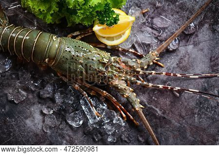 Spiny Lobster Seafood On Ice, Fresh Lobster Or Rock Lobster With Herb And Spices Lemon Coriander Par