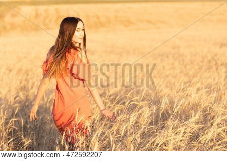 Young Woman In The Wheat Field. Look Back. Finding Inner Balance Concept. Copy Space