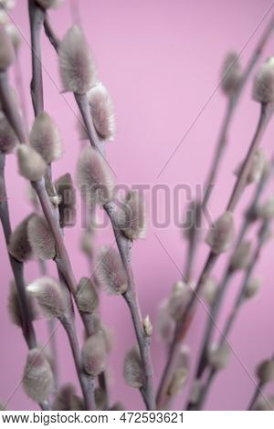 Paper Eggs Hang On Willow Branches For Easter. Diy Crafts Bulky Paper Eggs As A Toy On A Twig. Decor