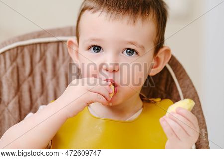 Happy Toddler Baby Boy Eating Apple Pieces While Sitting On A High Chair. A Child In Bib Eats Fruit 