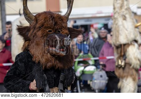 Masquerade Festival In Elin Pelin, Bulgaria. Culture, Indigenous