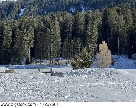 A Typical Winter Idyll On The Frozen And Snow-covered Alpine Lake Heidsee (igl Lai) In The Swiss Win