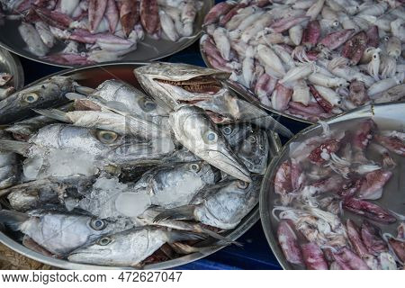 Fish Head At The Food Market In The Town Of Phrachuap Khiri Khan In The Province Of Prachuap Khiri K