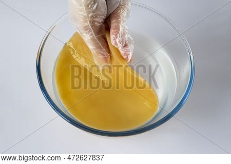 Woman Puts A Scoby Or Fungus In A Glass Bowl Of Water To Wash The Tea Mushroom For Fermentation. Pre