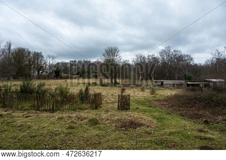 The Green Wild Fields Of The England Plateau, Uccle, Brussels, Belgium