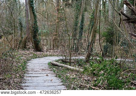 Hard Stone Walking Path Through The Woods Of The Kinsendael Nature Reserve, Uccle, Brussels, Belgium