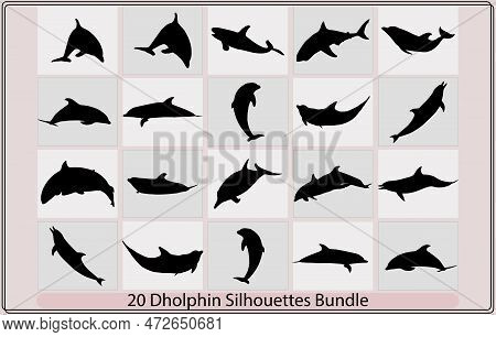 Dolphin Silhouettes,dolphins Graphic Icons Set Silhouette,vector Set Of Black Silhouettes Of Dolphin