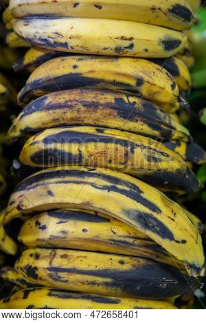 Bunch Of Yellow Bananas At A Market