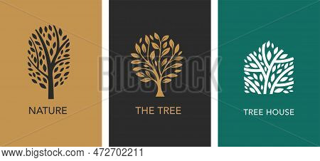 Tree Logo Collection. Luxury Logo Templates . Tree Of Life Branch With Leaves, Green House, Nature C
