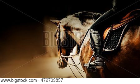 A Rider Is Sitting On A Beautiful Bay Racehorse In The Saddle. Equestrian Sports And Horse Riding. T