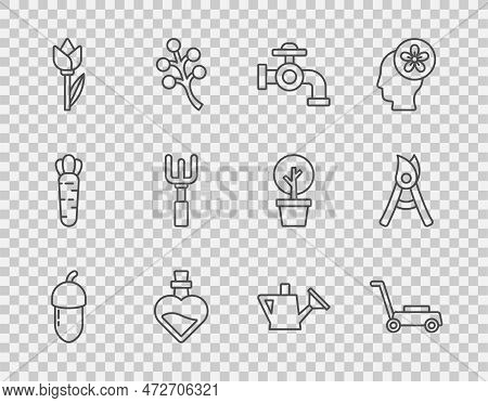 Set Line Acorn, Lawn Mower, Water Tap, Bottle With Love Potion, Flower Tulip, Garden Rake, Watering 