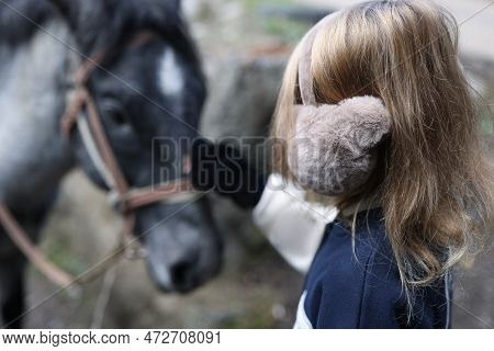 Small Girl Touching Gray Horse Head Close-up. Hippotherapy, Recreation And Loving Animal Concept.
