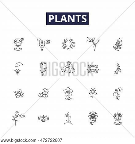 Plants Line Vector Icons And Signs. Photosynthesis, Foliage, Botany, Seed, Root, Abundance, Shoot, V