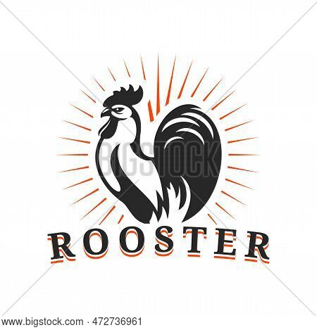 Agriculture And Farm Rooster Icon. Vector Cockerel Silhouette And Rays Label. Isolated Emblem With C
