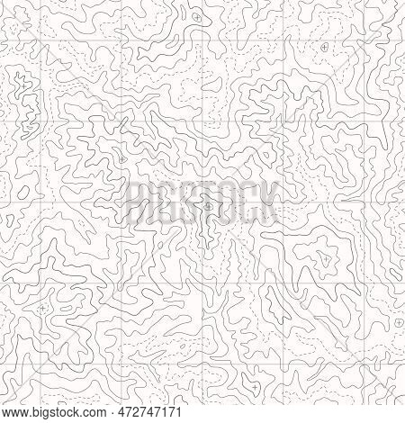 Topographic Line Map, Topo Curves Seamless Monochrome Texture. Line Topography Map Contour Backgroun